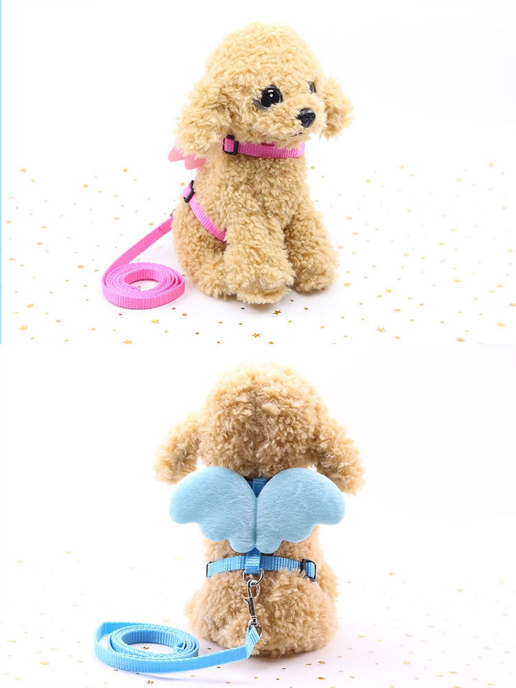 საბელი ფრთები