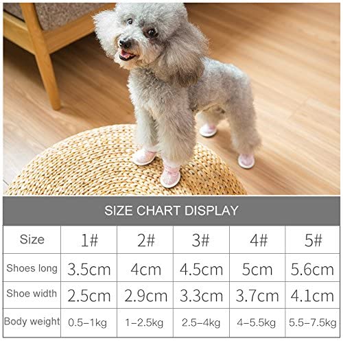 ძაღლის წითელი ფეხსაცმელი