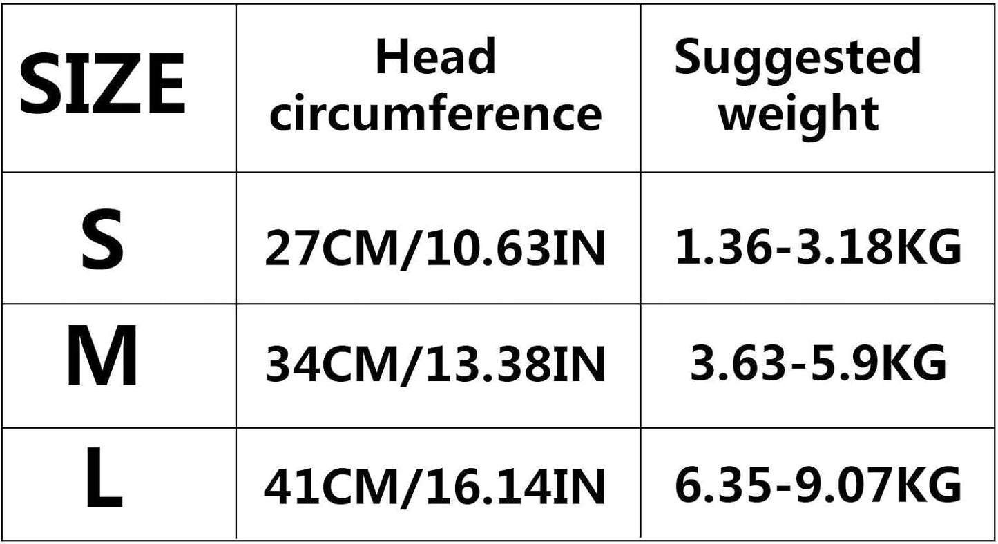 ძაღლის შლაპა