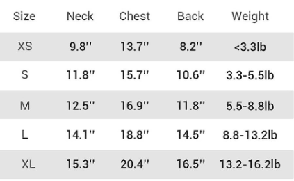 ძაღლის პერანგი