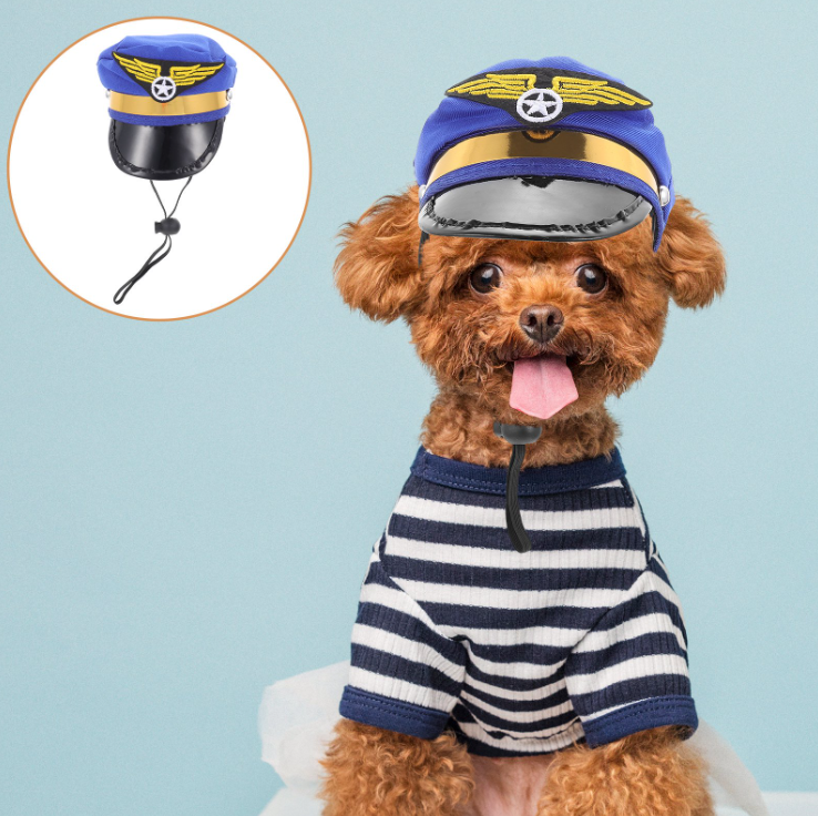 ძაღლის მეზღვაურის ქუდი