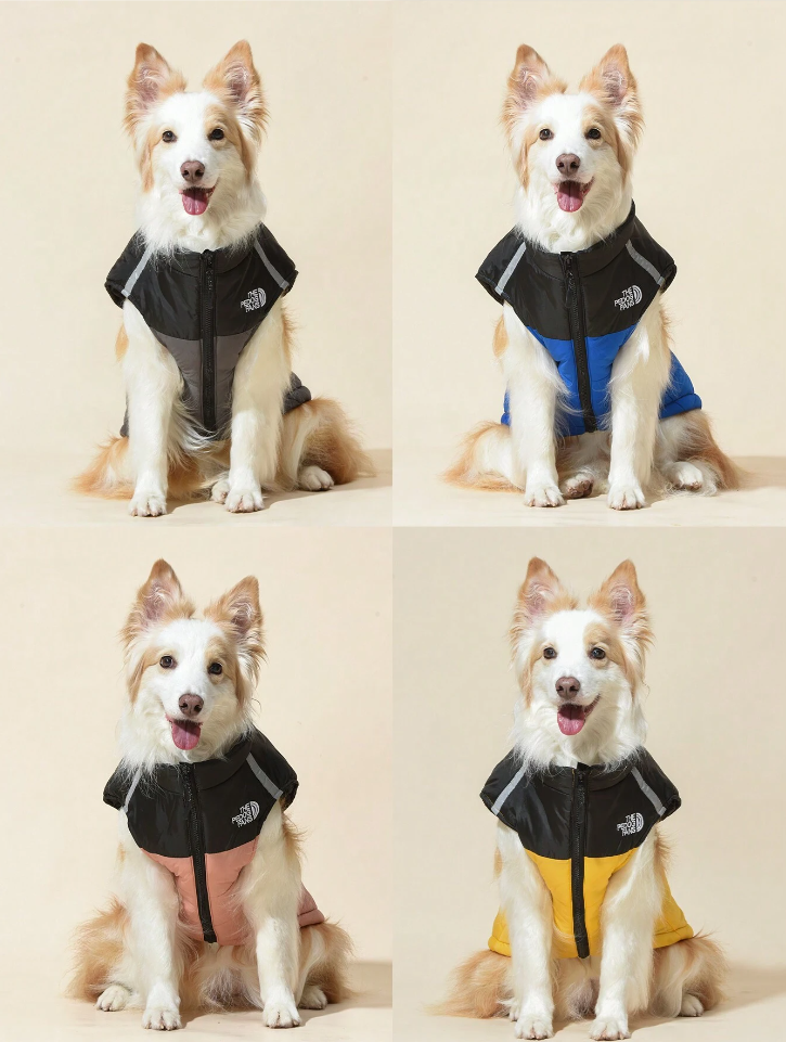 დუტის ჟილეტი