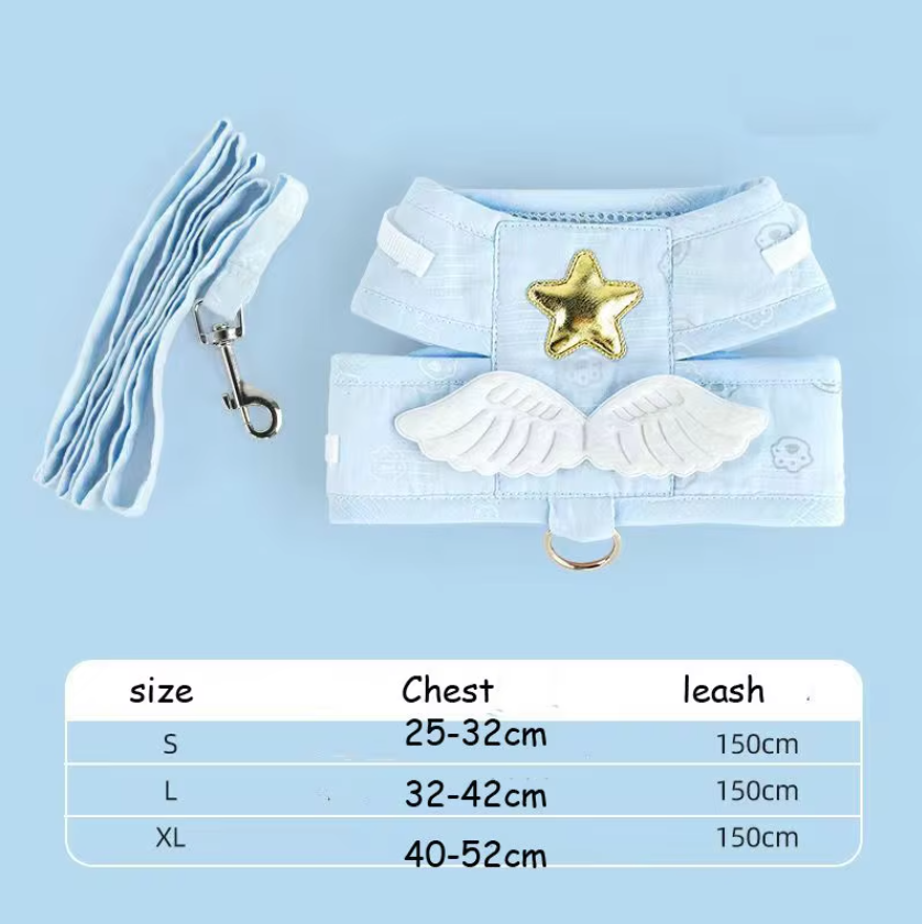 შლეიკა ფრთებით