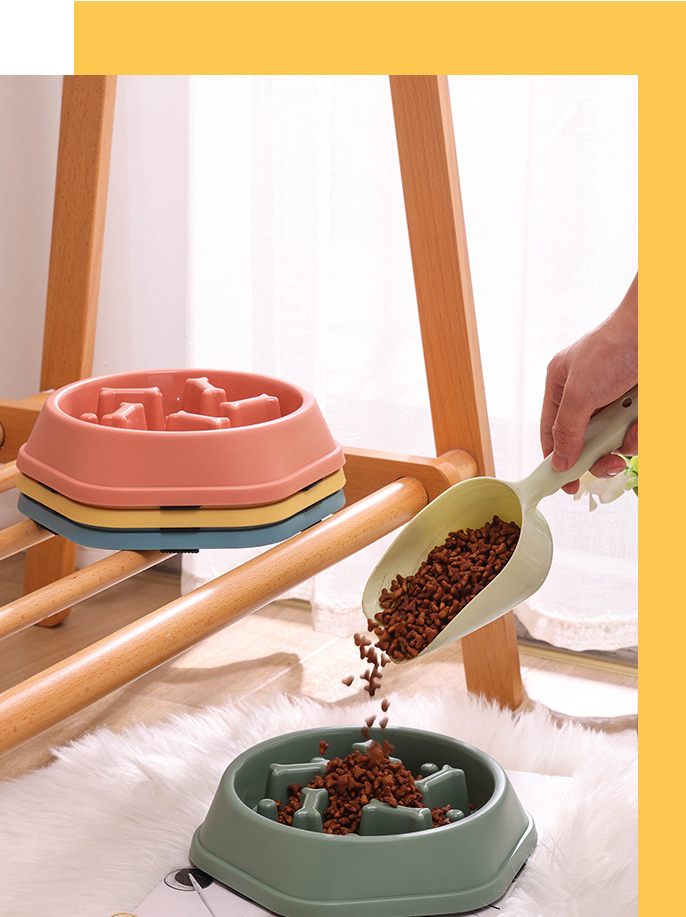 ძაღლის საკვები ჯამი