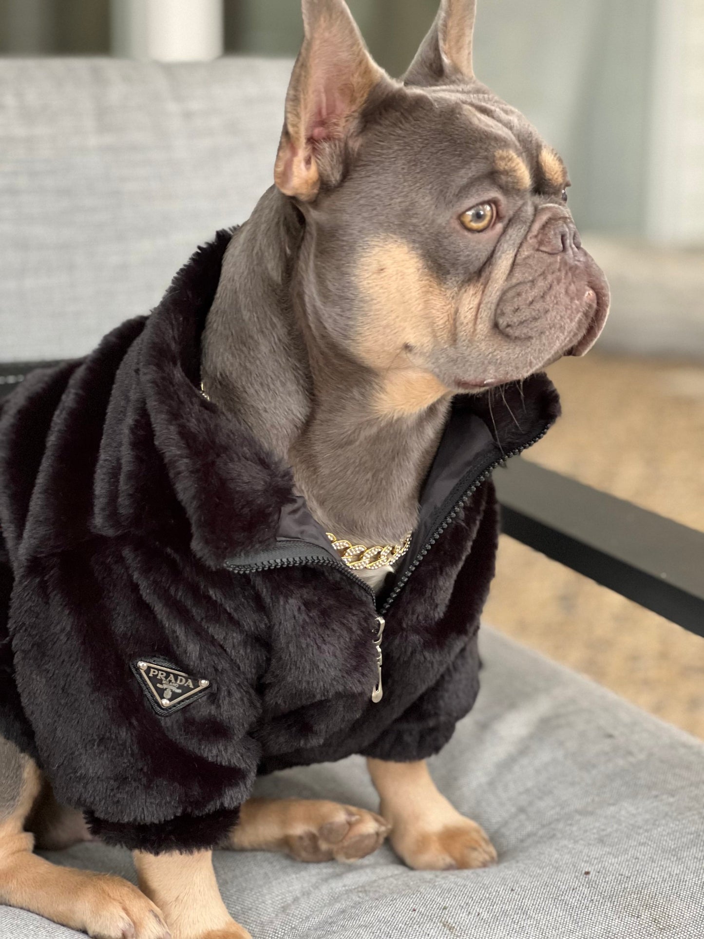 მოსაცმელი Prada