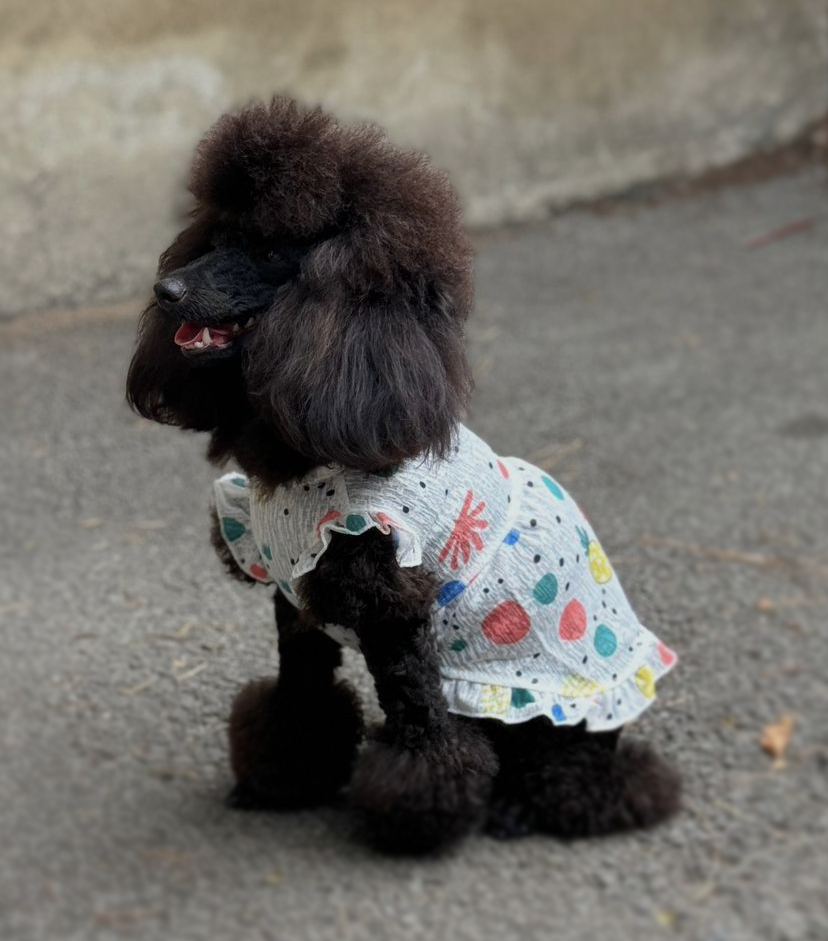 საზაფხულო ყვავილებიანი კაბა