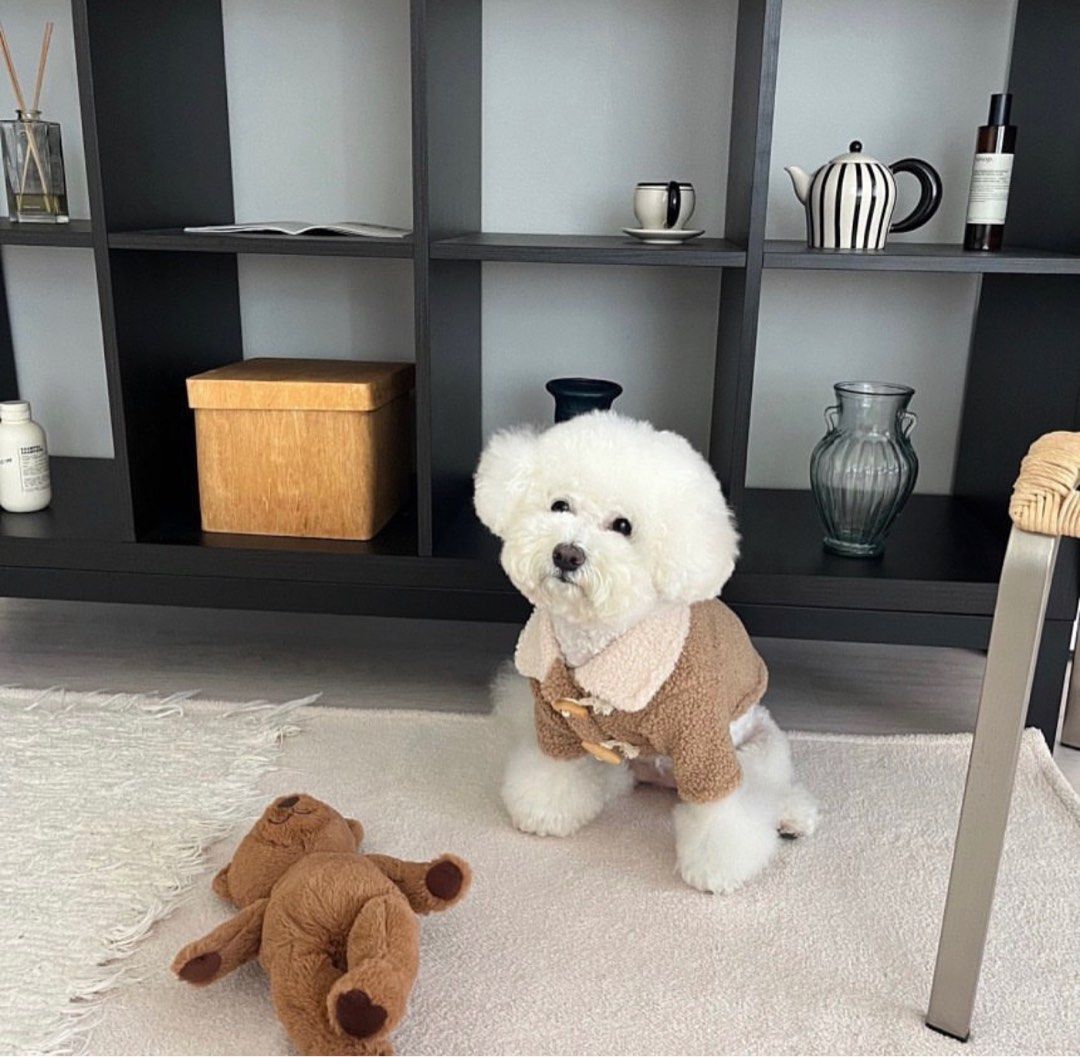 ფუმფულა ჟაკეტი