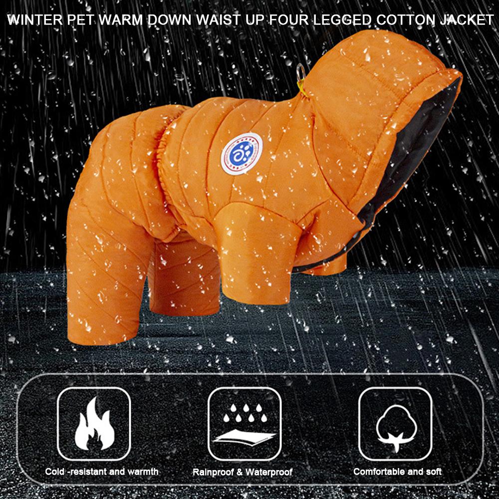 დუტის ქურთუკი კომბინიზონი