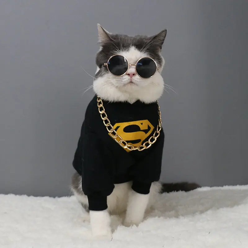 ძაღლის სათვალეები