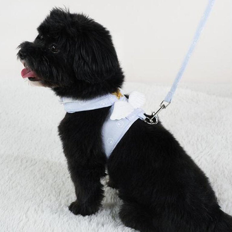 შლეიკა ფრთებით