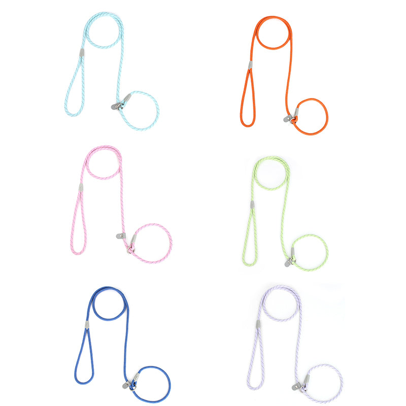 ძაღლის საწვრთნელი საბელი