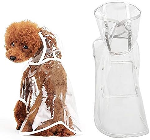 ძაღლის საწვიმარი სადა