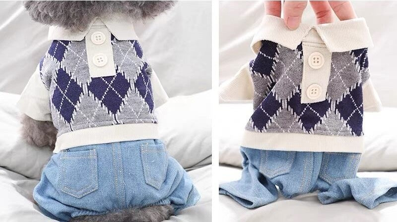 ჯინსის კომბინიზონი პერანგით