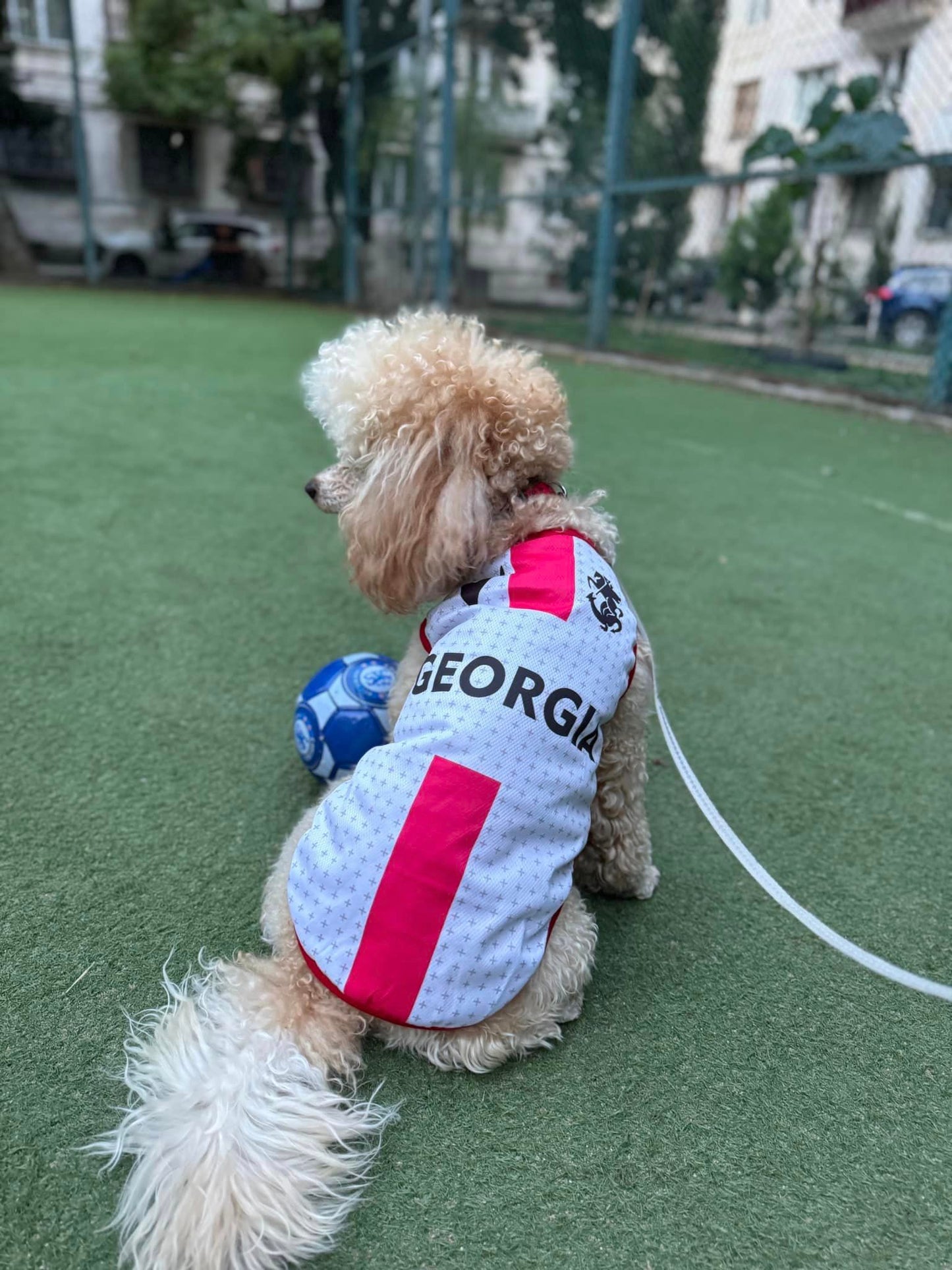 საქართველოს ნაკრების მაისური