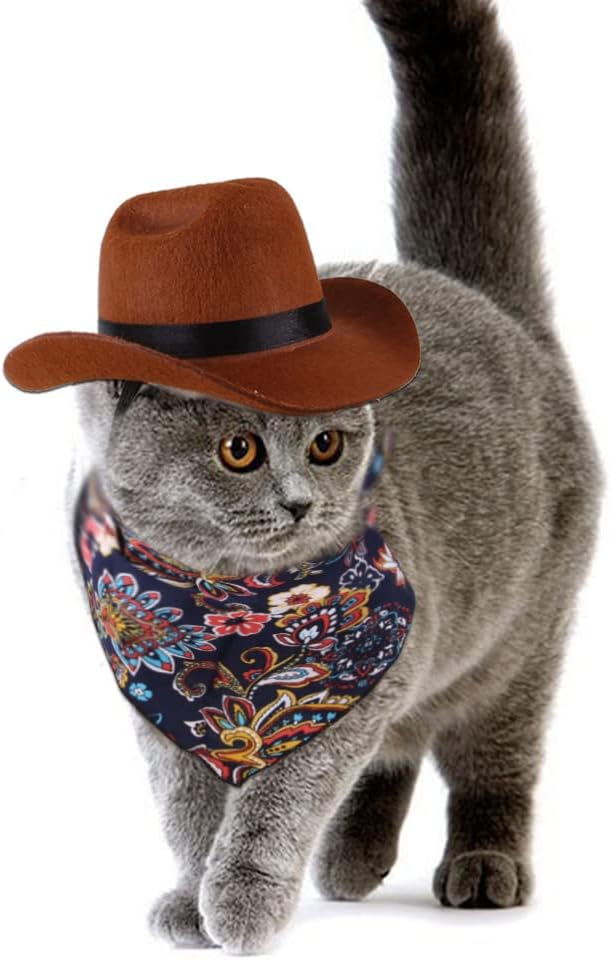 ძაღლის Cowboy ქუდი