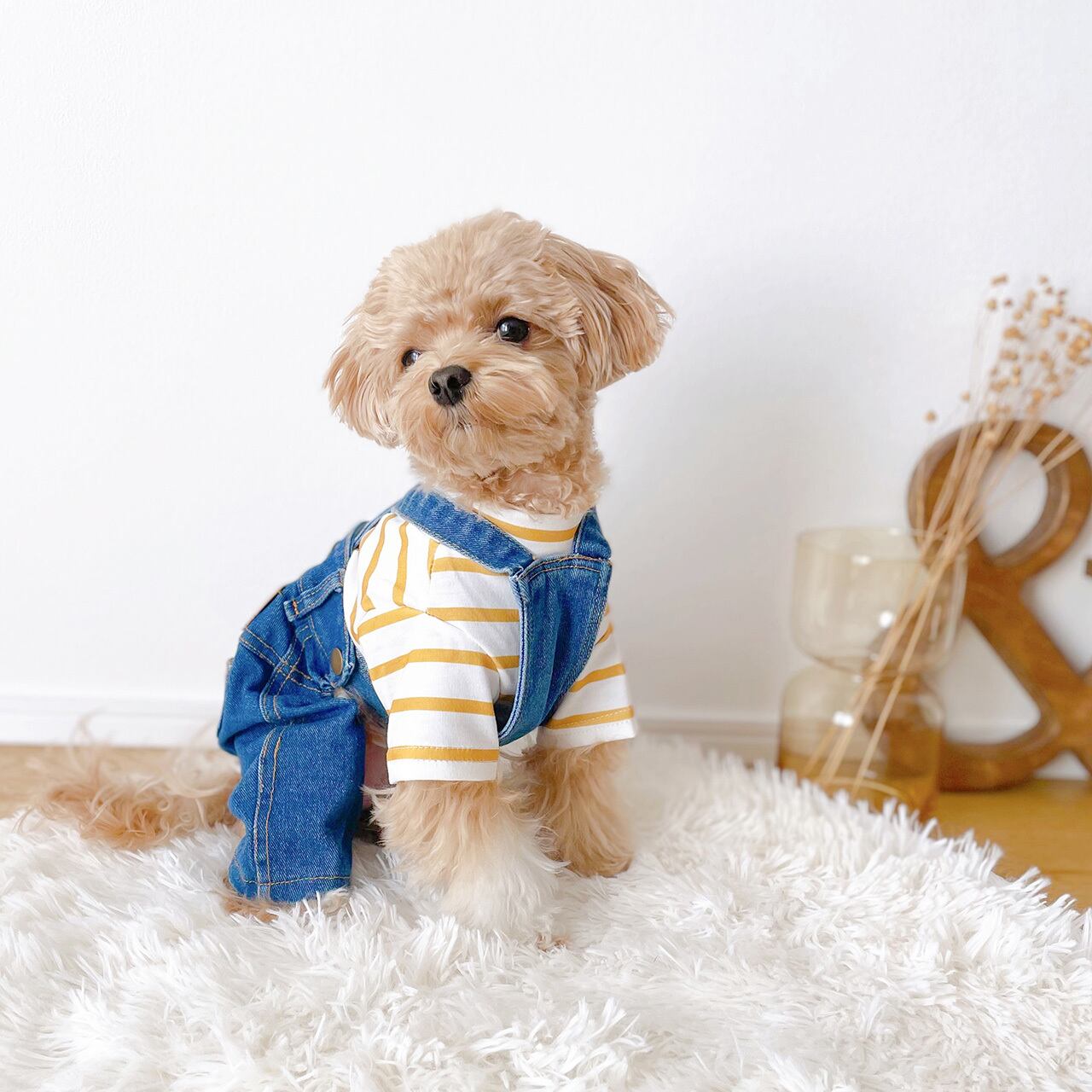 ჯინსის კომბინიზონი EBAERR