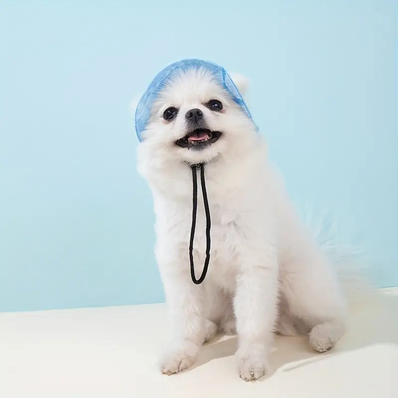 ძაღლის შლაპა