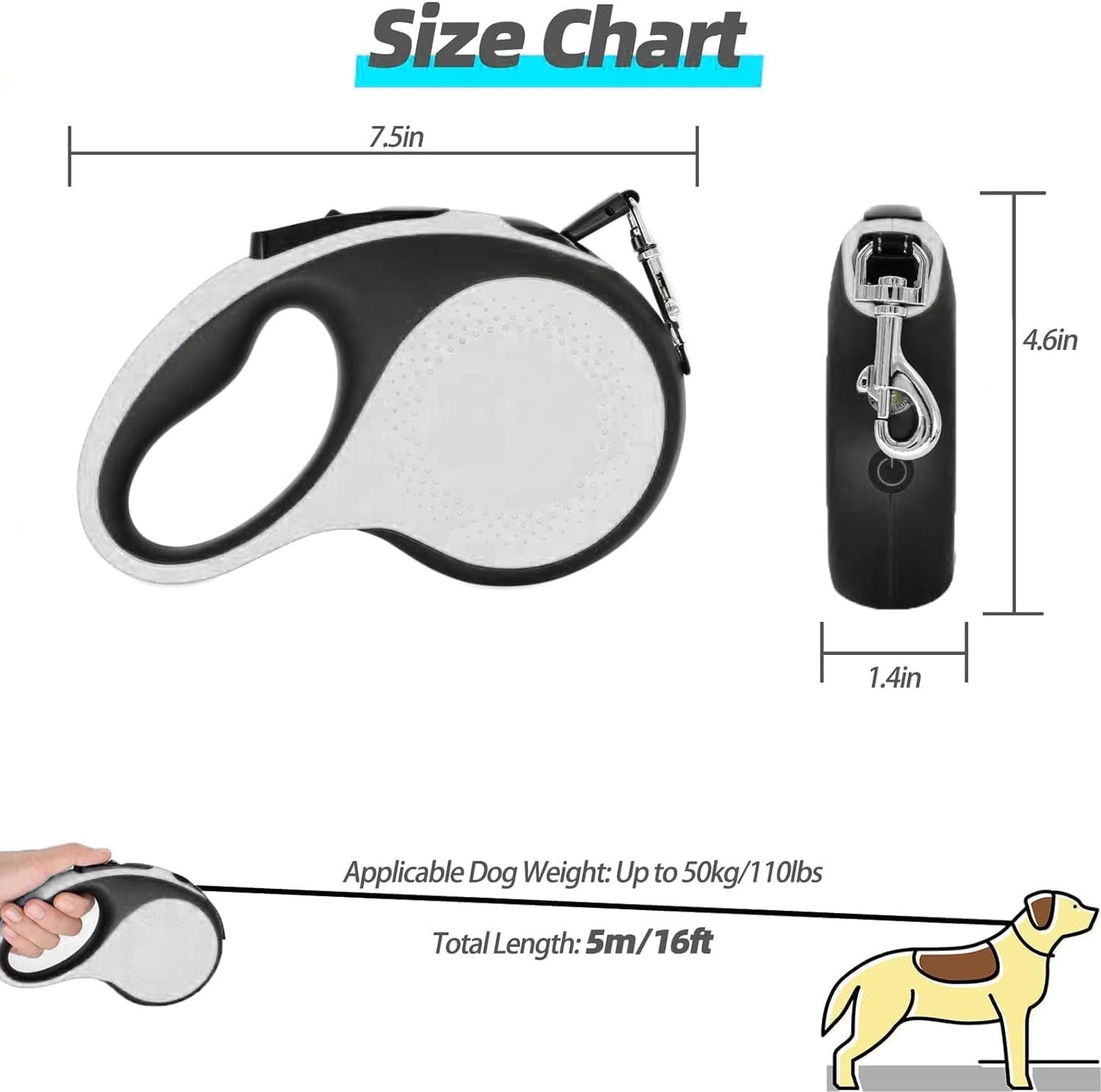 მანათობელი საბელი რულეტი