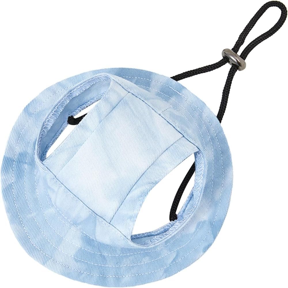 ძაღლის შლაპა