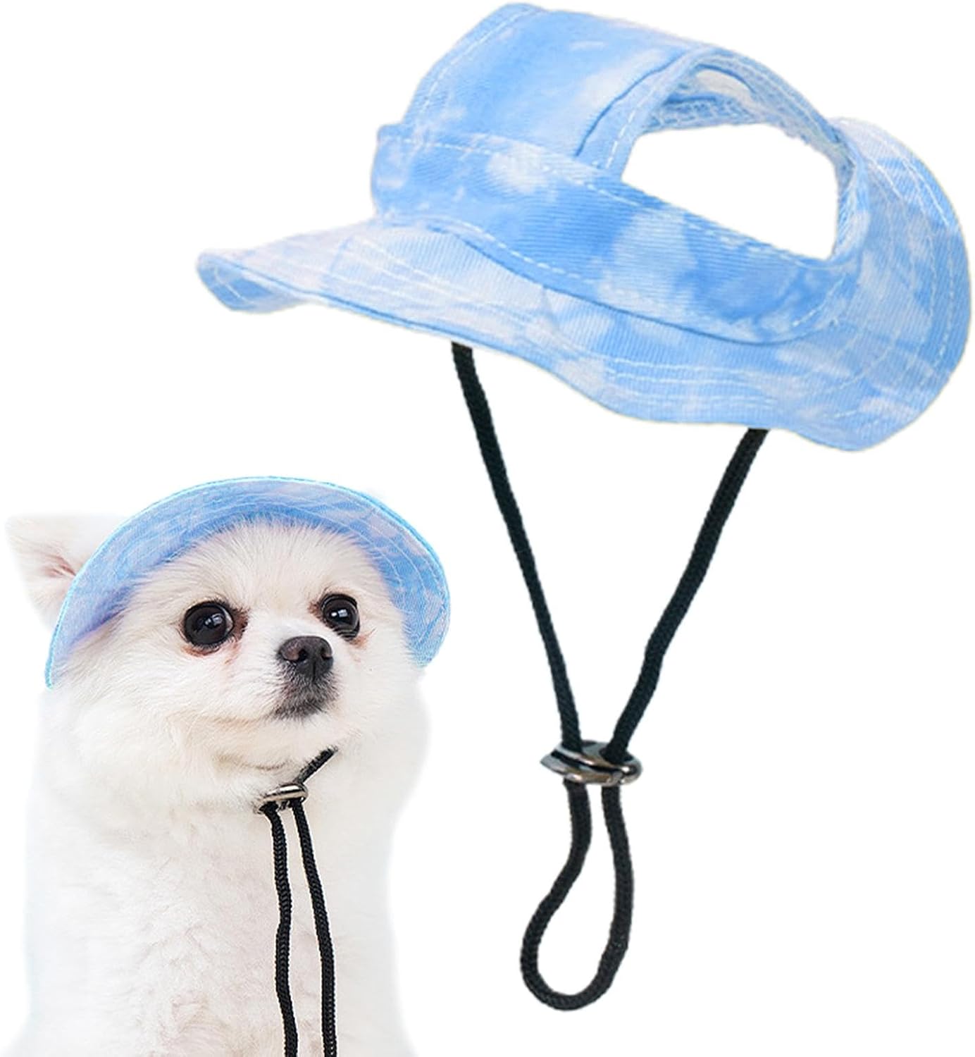 ძაღლის შლაპა