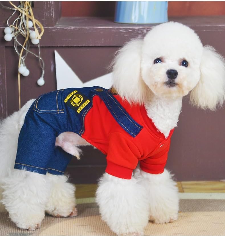 ჯინსის კომბინიზონი დათუნია