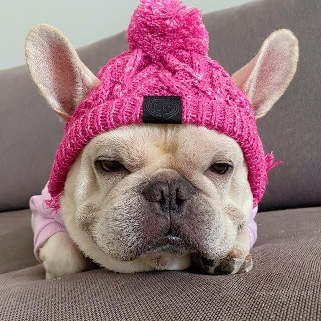 ძაღლის ქუდი ნაქსოვი