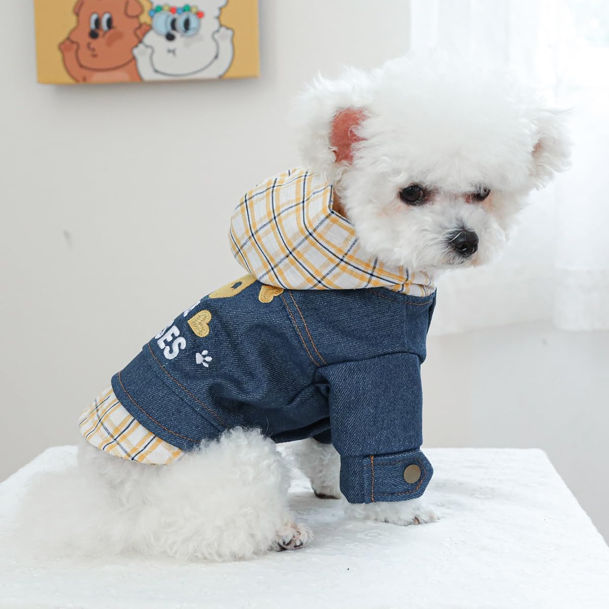 ჯინსის ჟილეტი Free Kisses