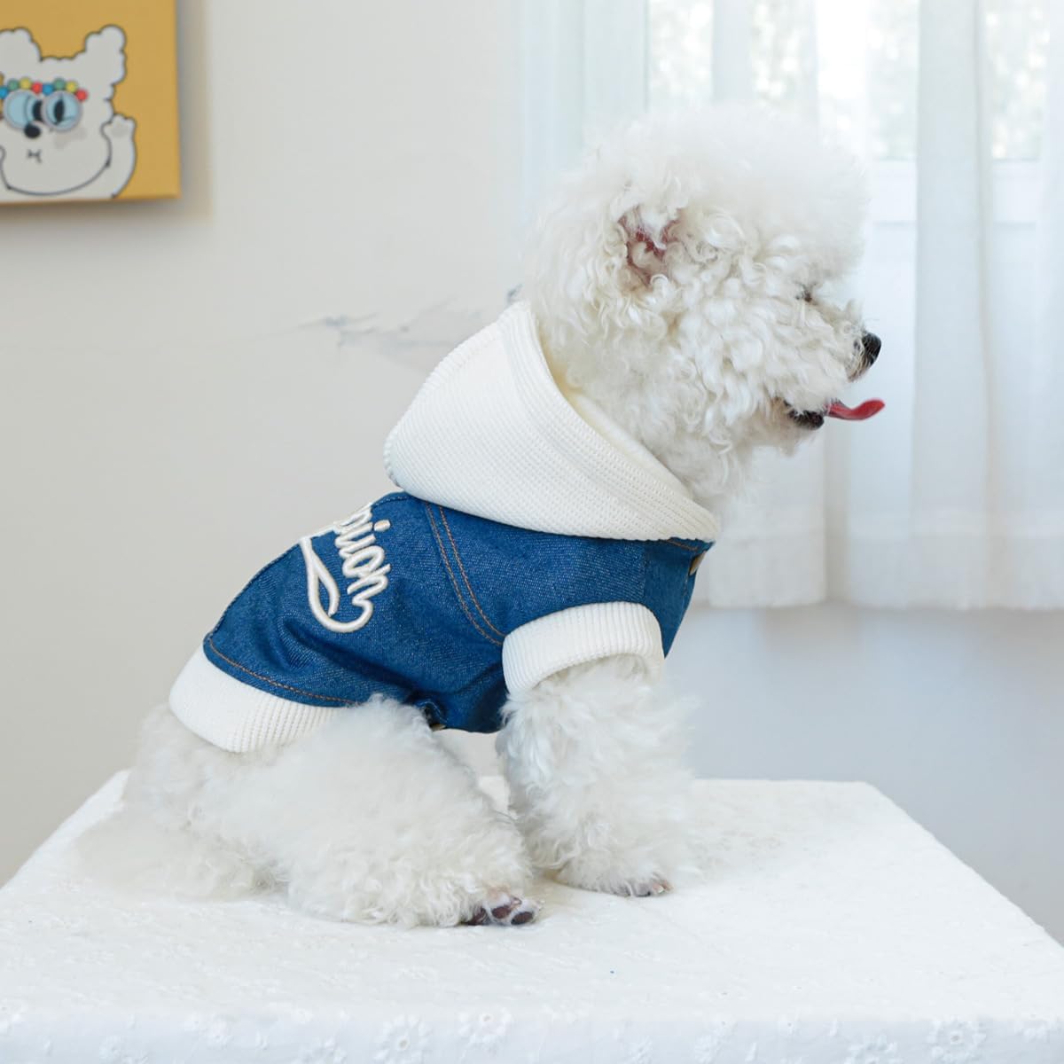 ჯინსის ჟილეტი Champions