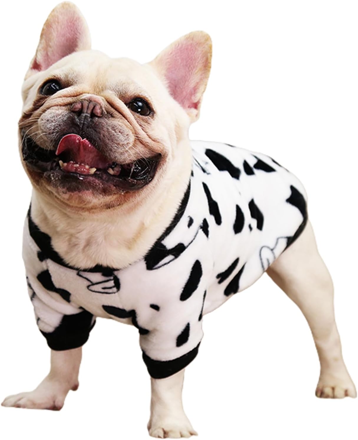 თბილი მაისური