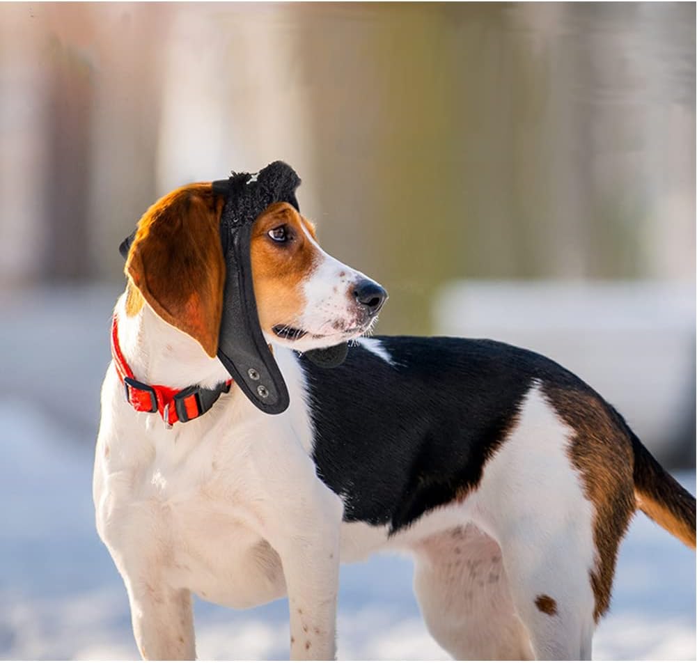 ძაღლის თბილი ქუდი Aviator Hat