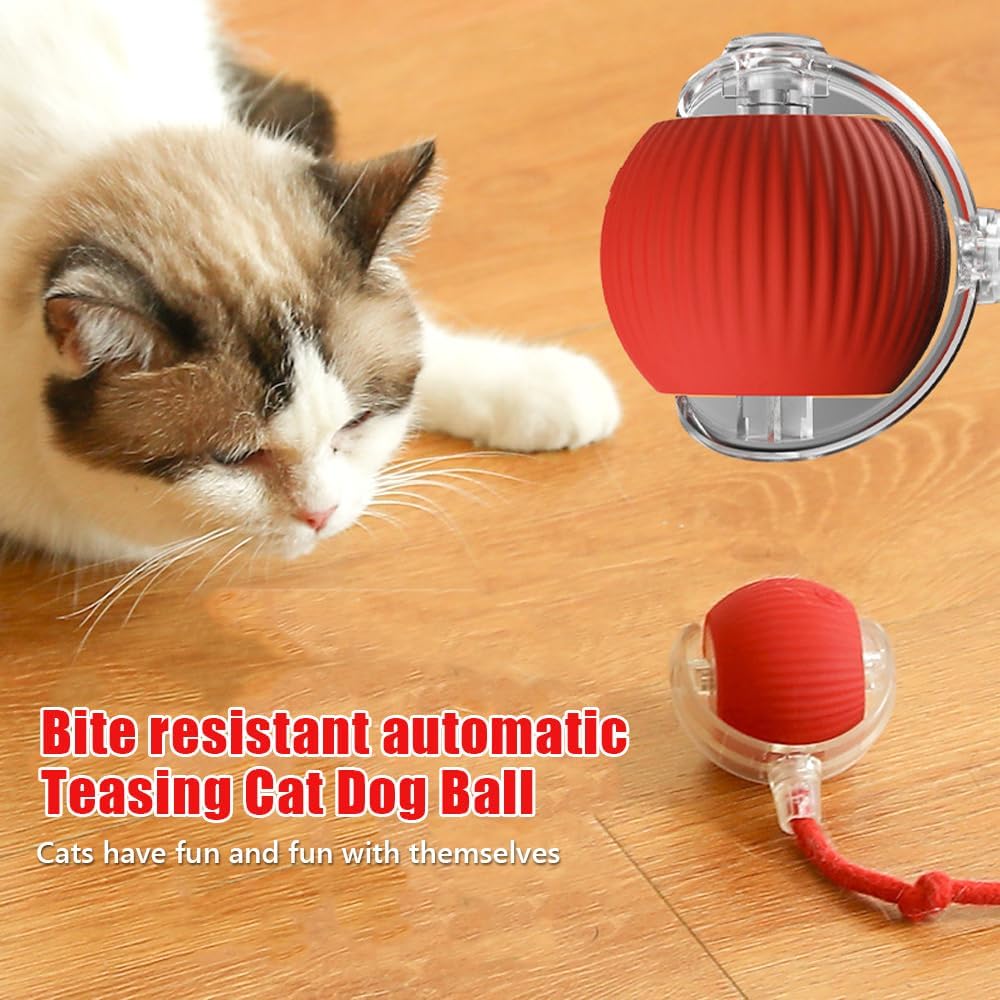 სათამაშო ბურთი თოკით