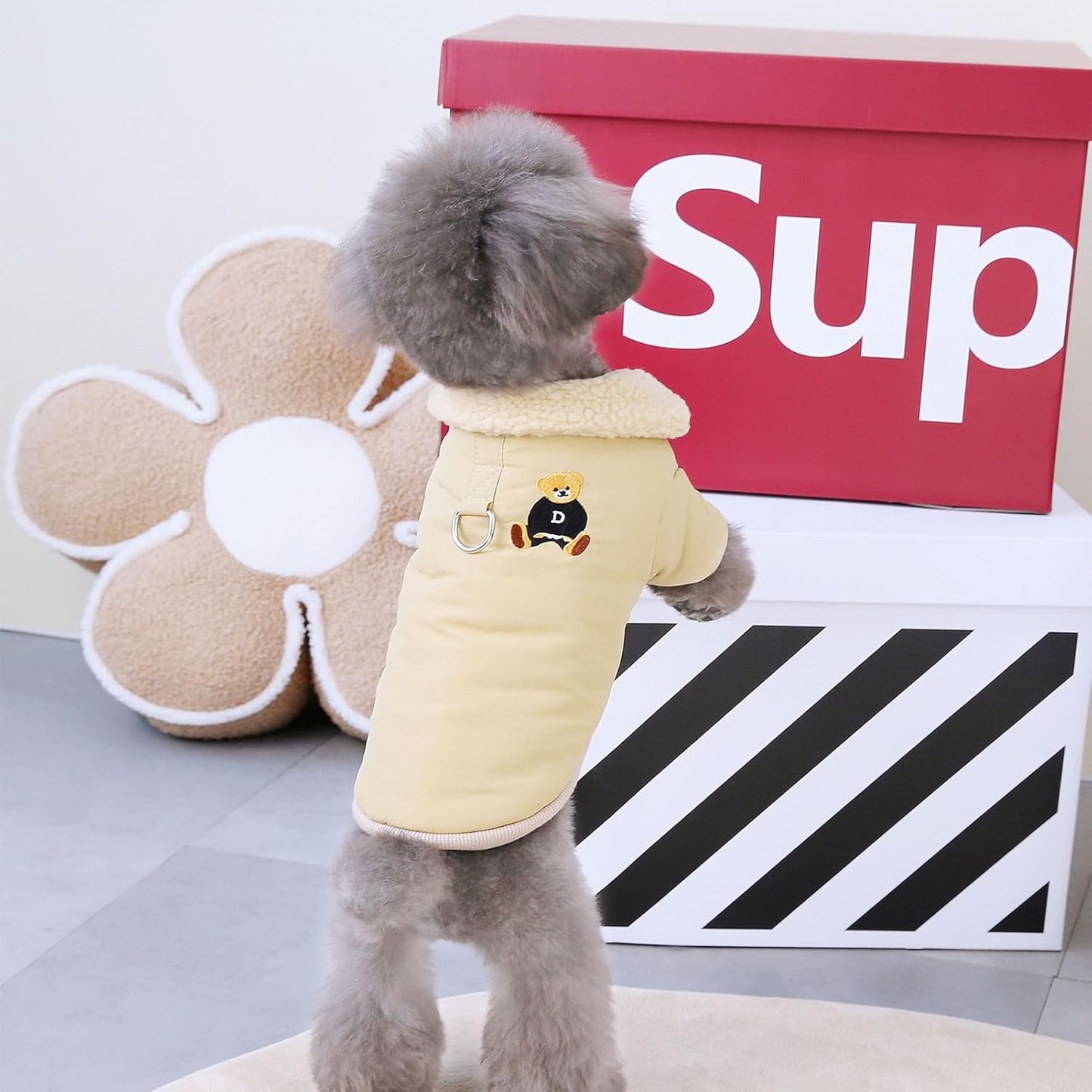 ქურთუკი Polo