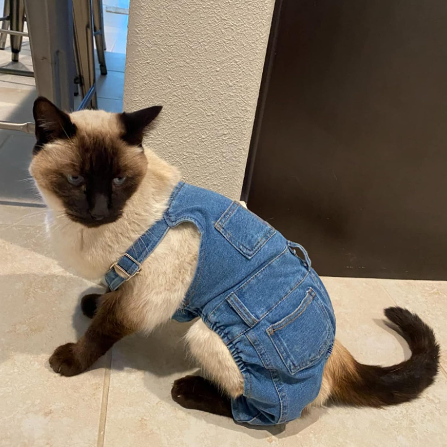 კომბინიზონი ჯინსის სადა