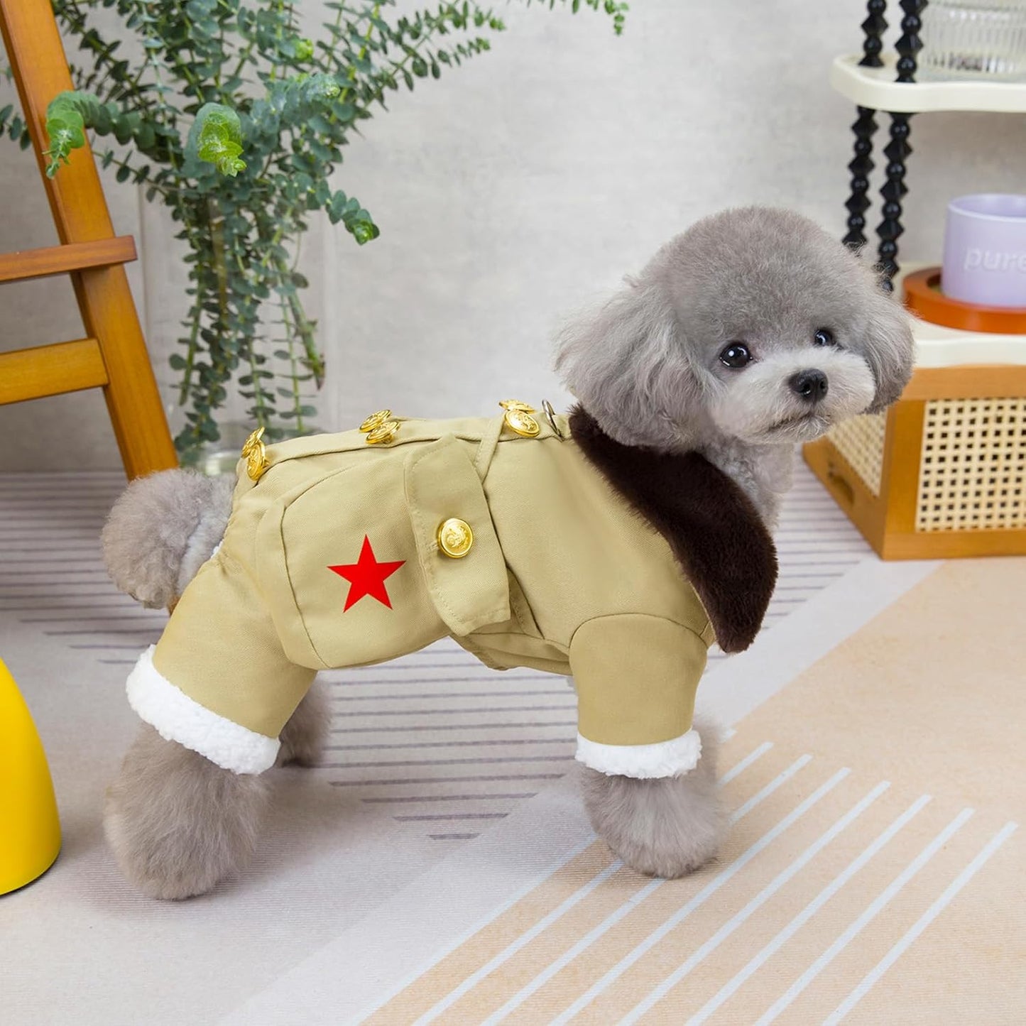 ქურთუკი კომბინიზონი ჩანთით