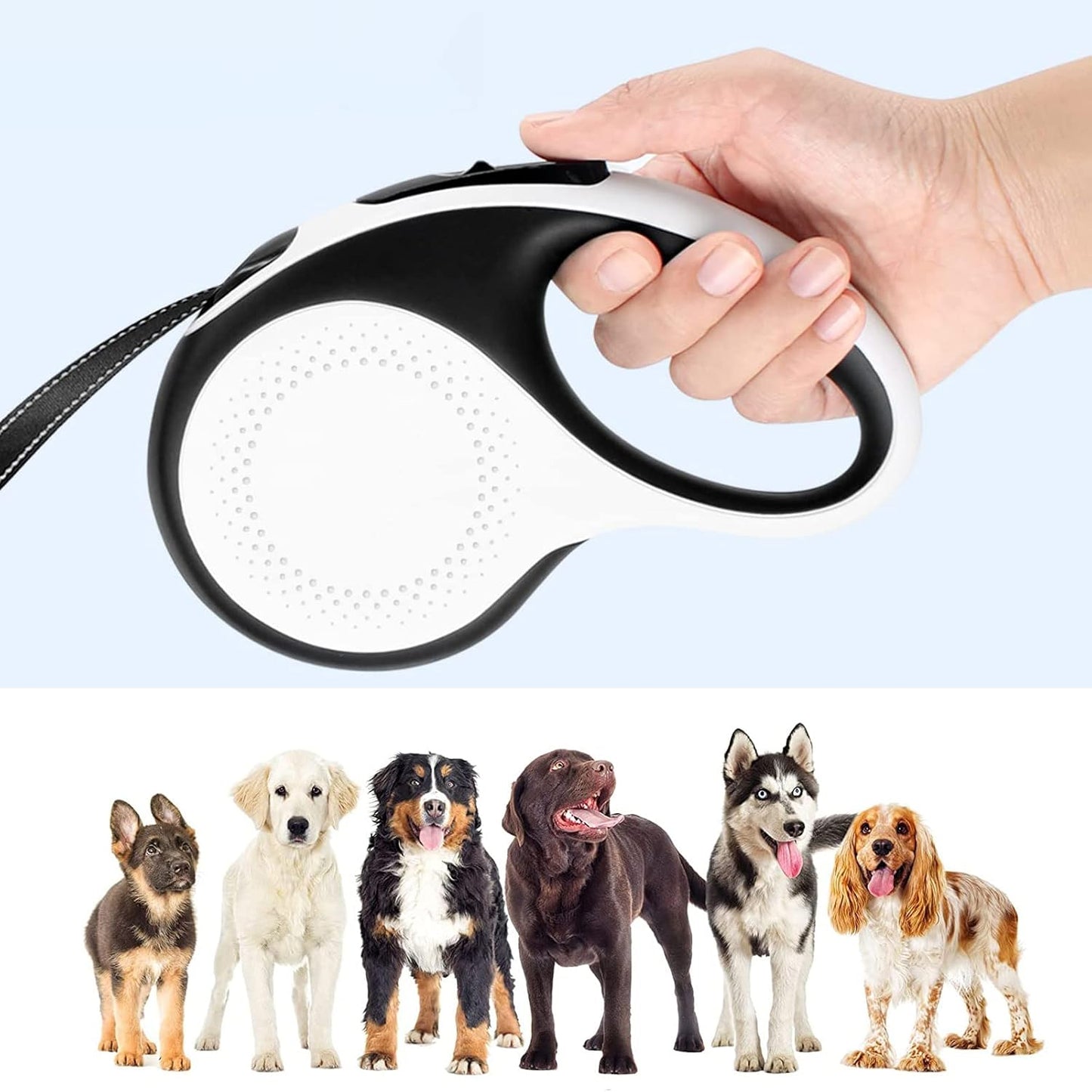 მანათობელი საბელი რულეტი