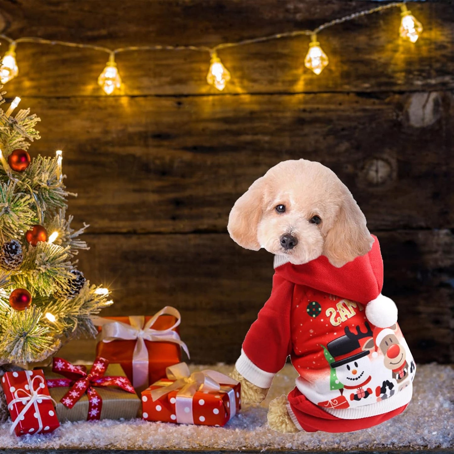 ძაღლის კომბინიზონი საახალწლო