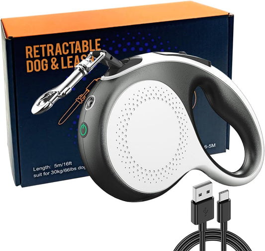 მანათობელი საბელი რულეტი