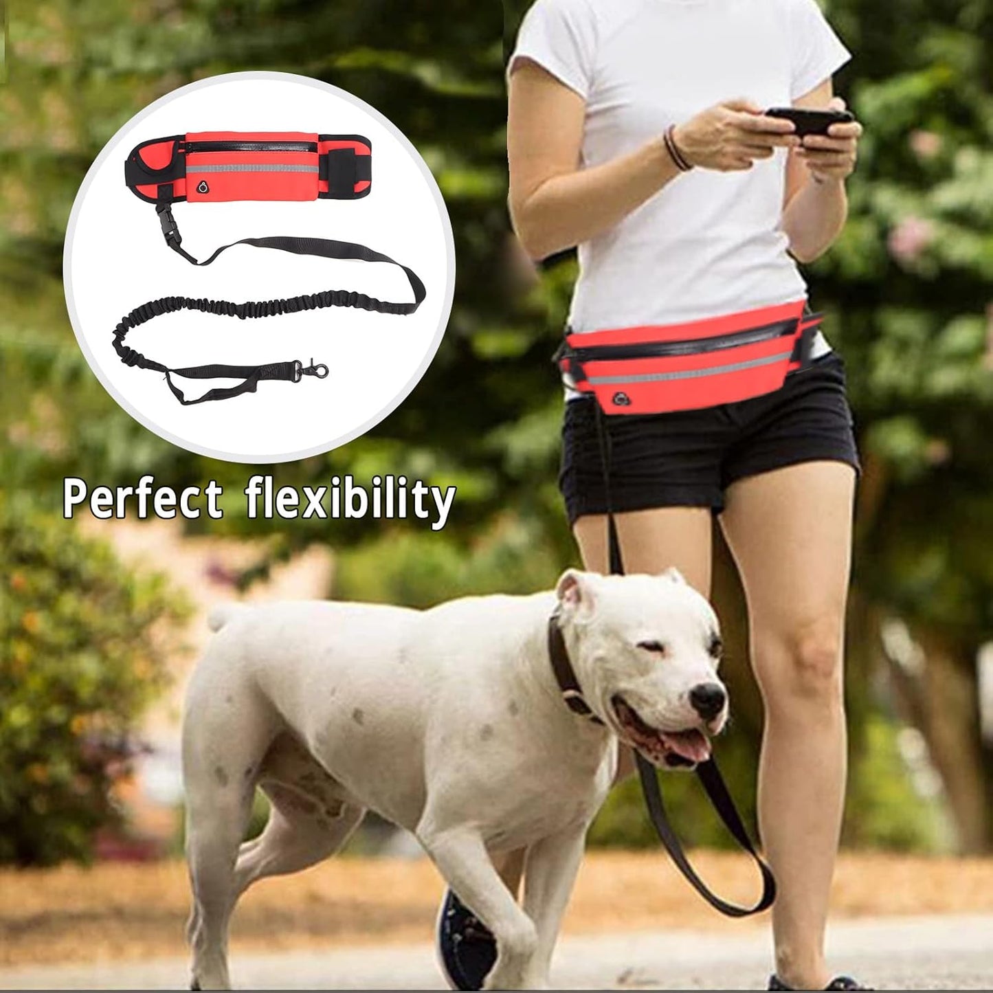 წელის ჩანთა საბელით