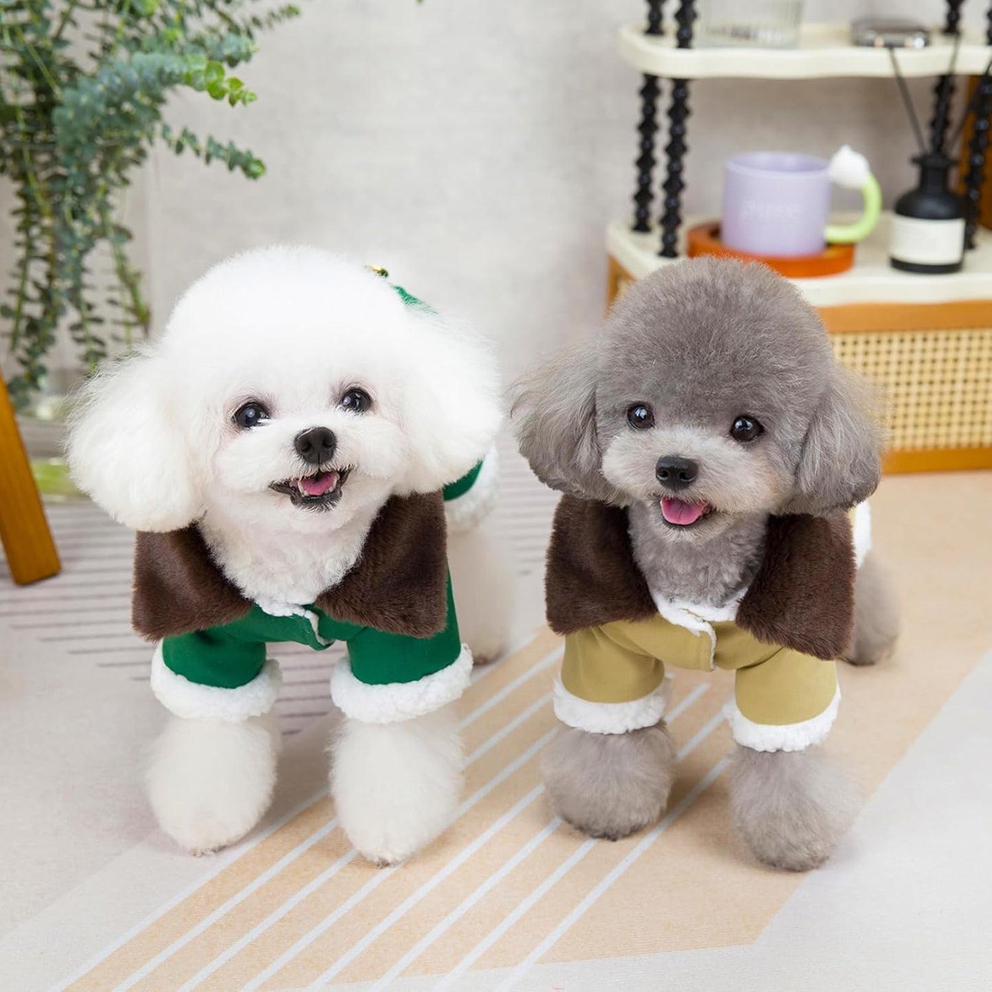 ქურთუკი კომბინიზონი ჩანთით