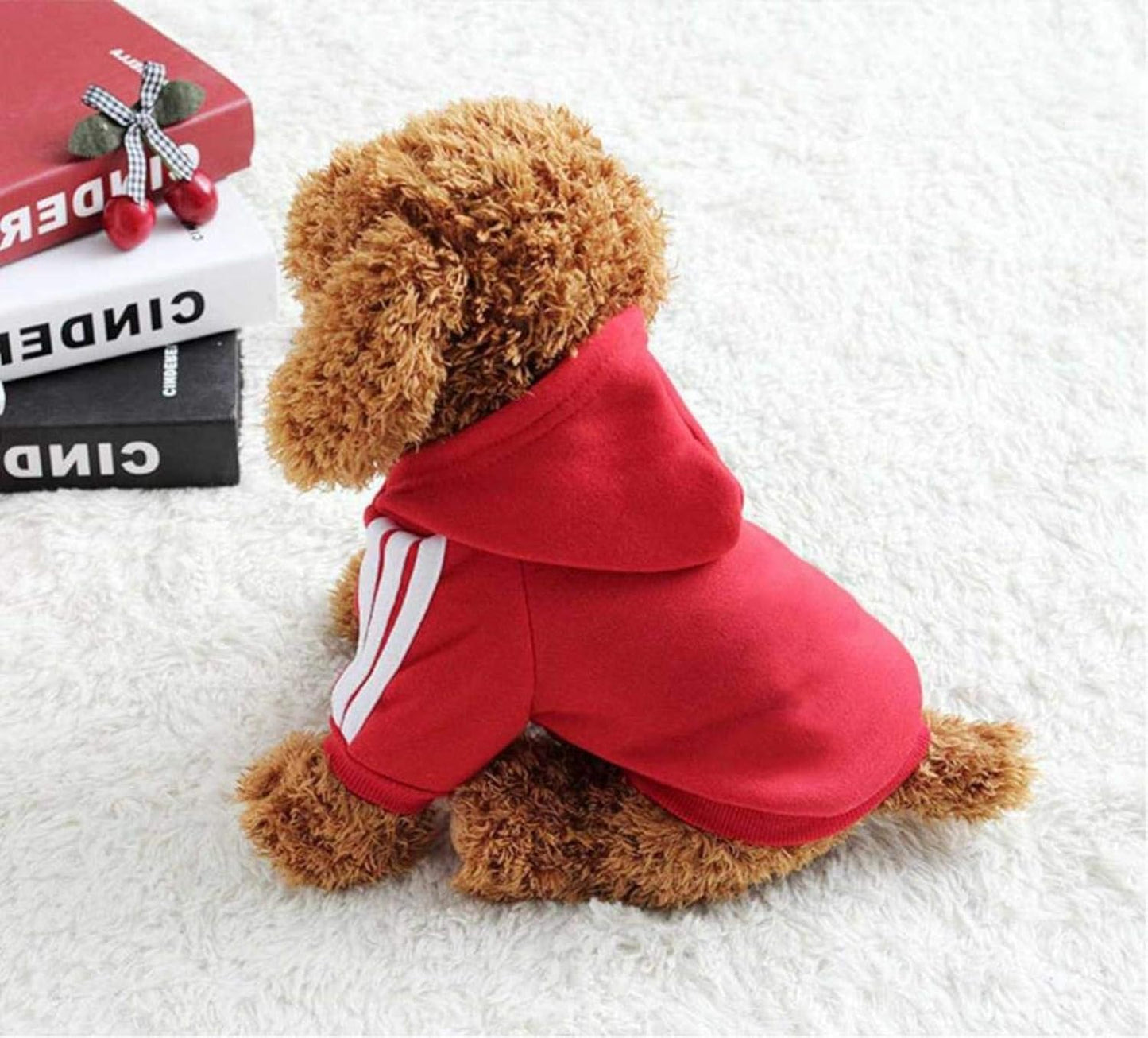 ჰუდი სადა