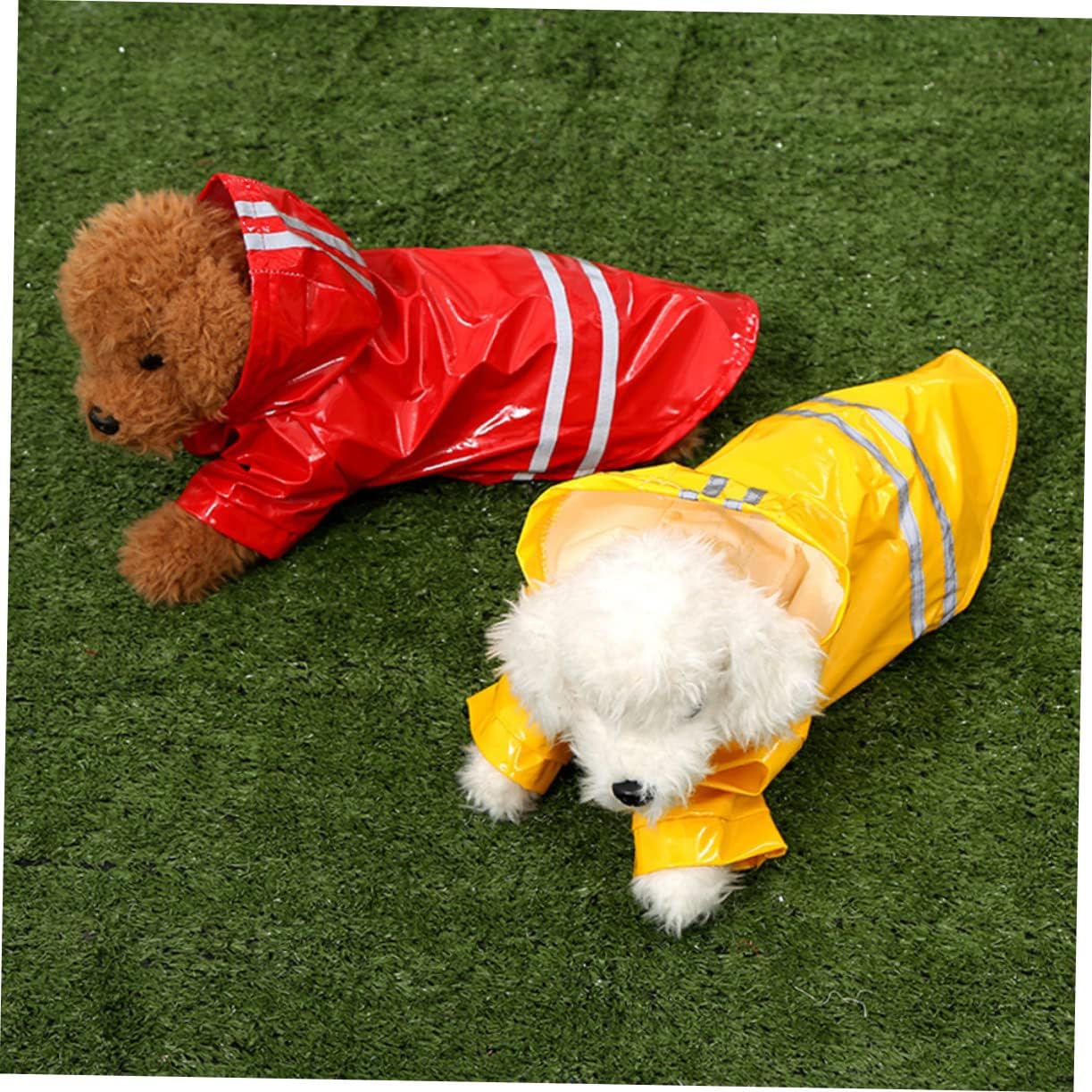 საწვიმარი ფერადი