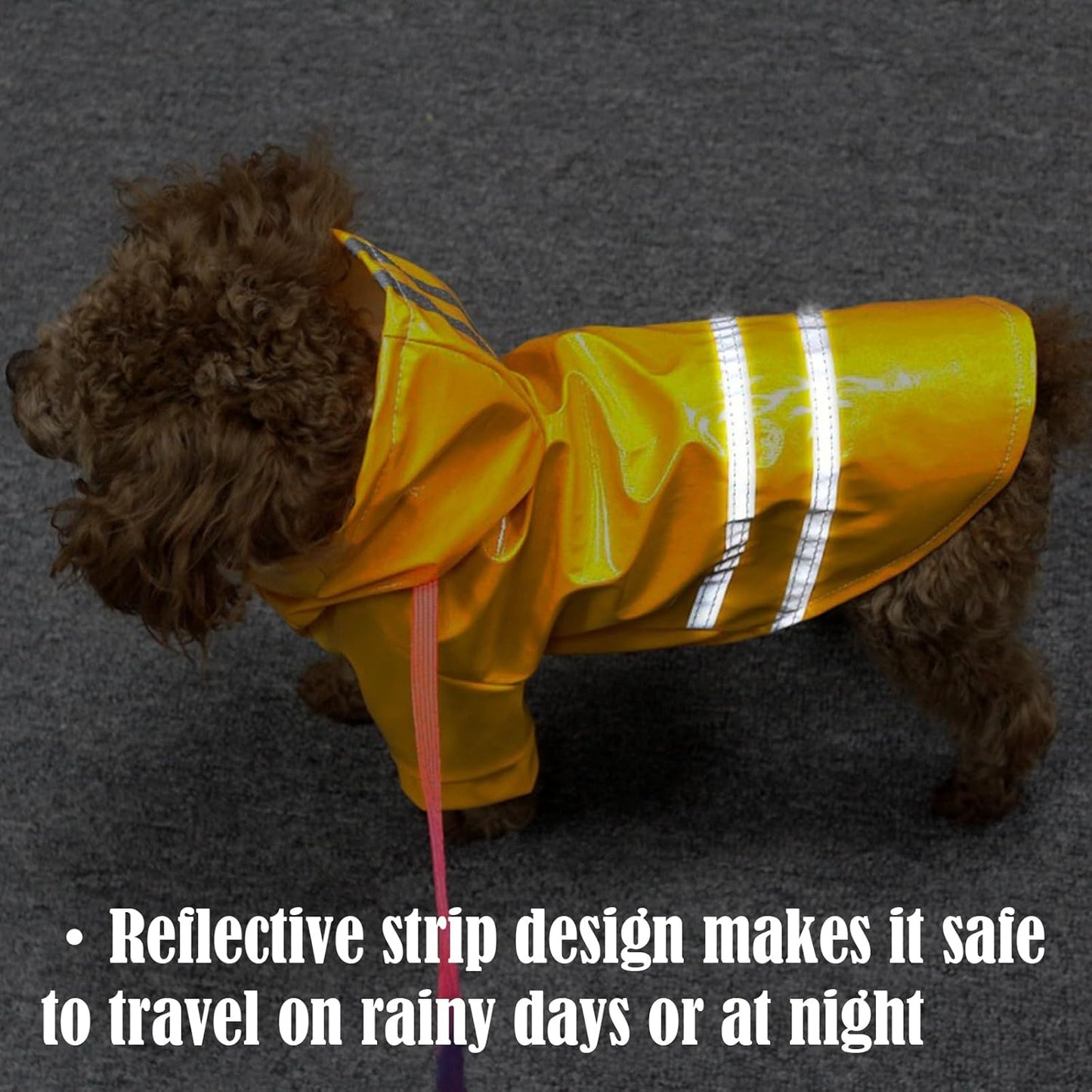 საწვიმარი ფერადი