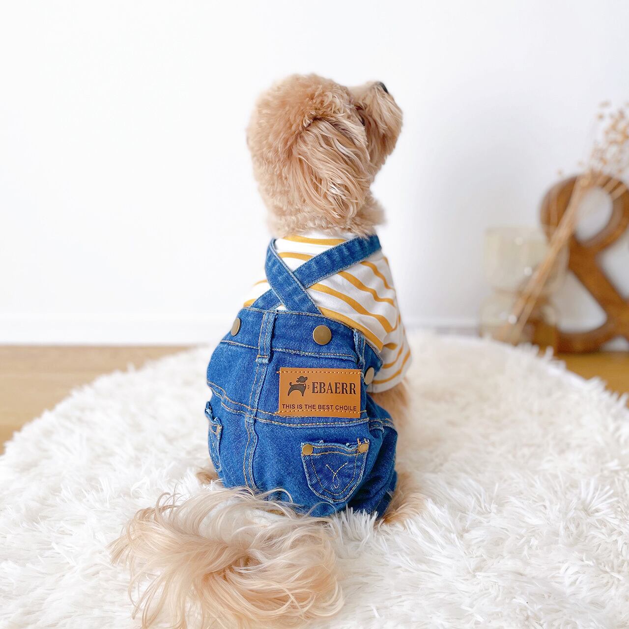 ჯინსის კომბინიზონი EBAERR