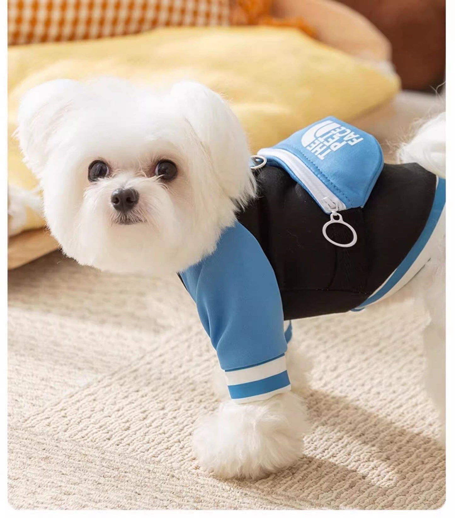 ჩანთიანი მაისური