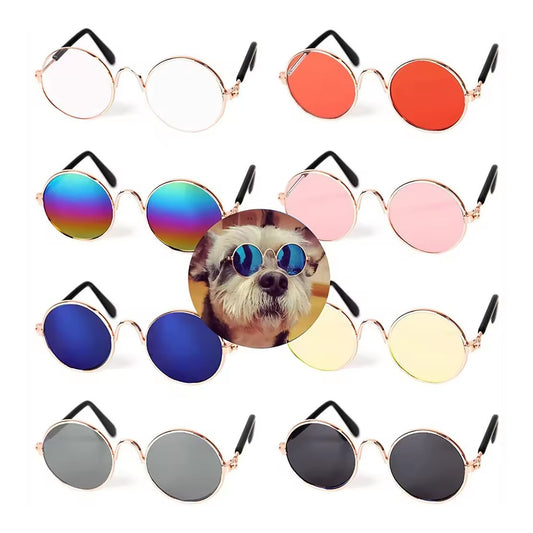 ძაღლის სათვალეები