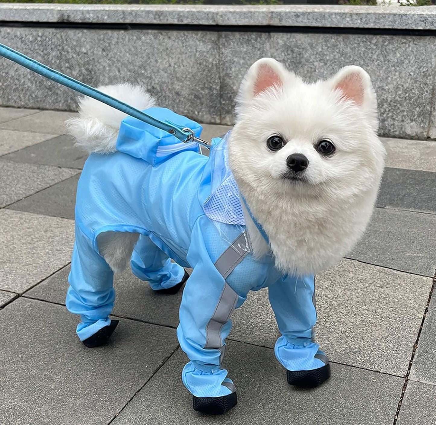 ძაღლის საწვიმარი ოთხივე თათის + კუდის დაცვით