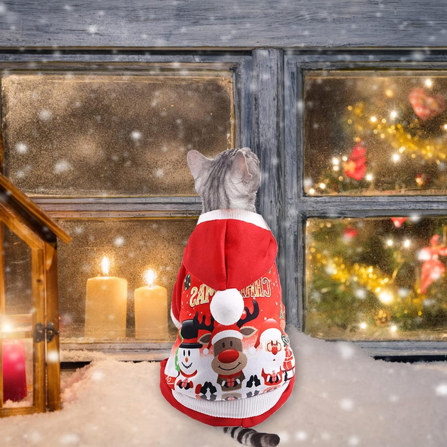 ძაღლის კომბინიზონი საახალწლო