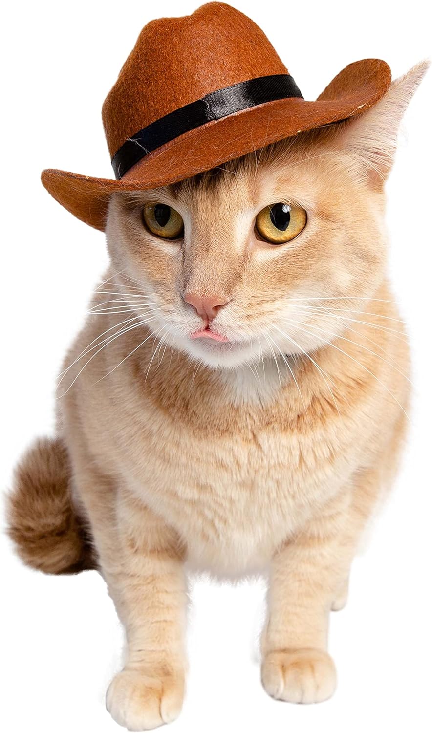 ძაღლის Cowboy ქუდი