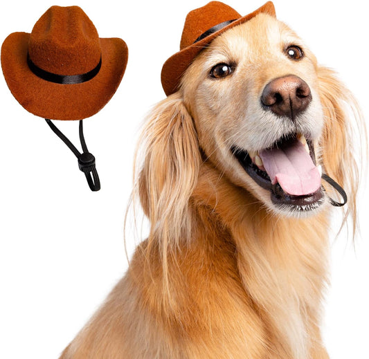 ძაღლის Cowboy ქუდი