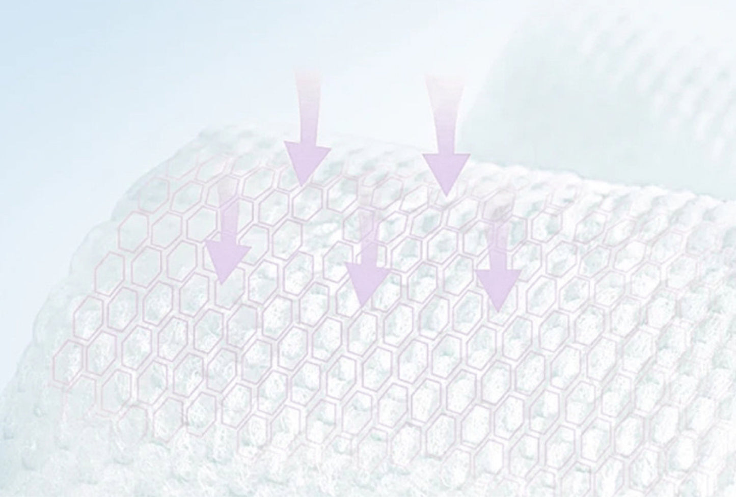 ძაღლის საზაფხულო ფეხსაცმელი